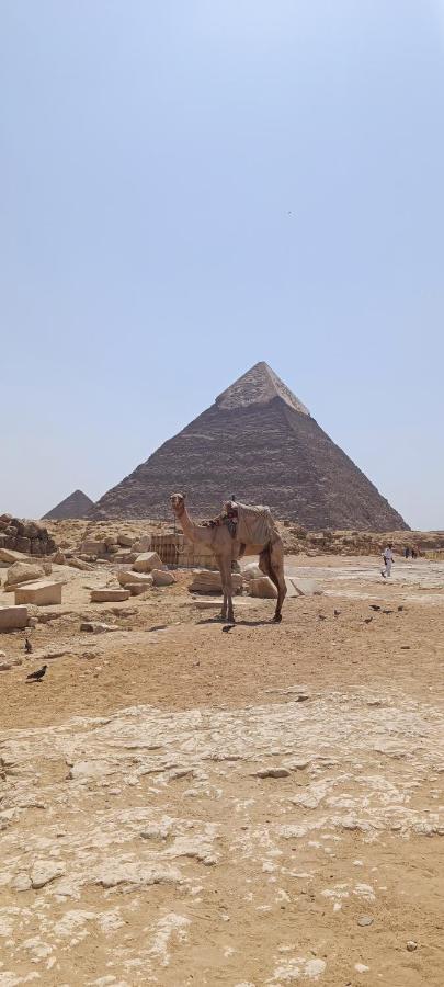 Comfy Place With A Private Garden In Giza Apartman *